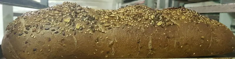 Filone ai semi: sesamo, lino e girasole sulla crosta
