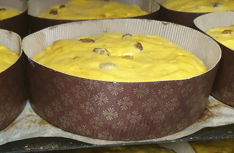 Impasto del panettone che lievita nel pirottino